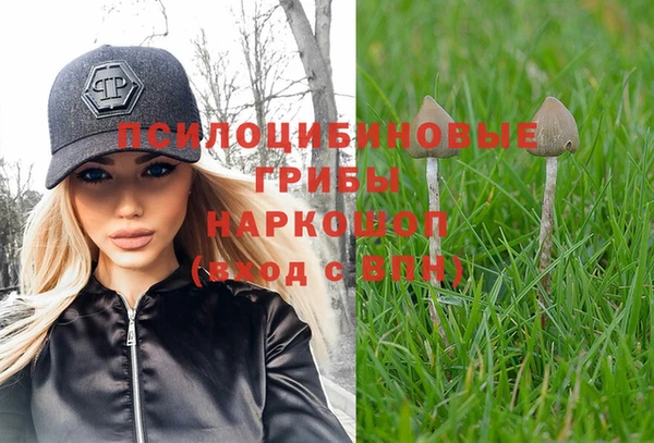 амф Покачи