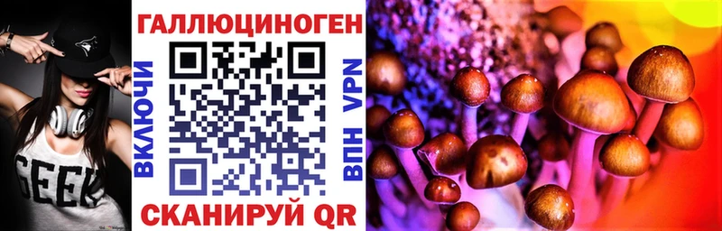 Галлюциногенные грибы мицелий  купить   Майский 